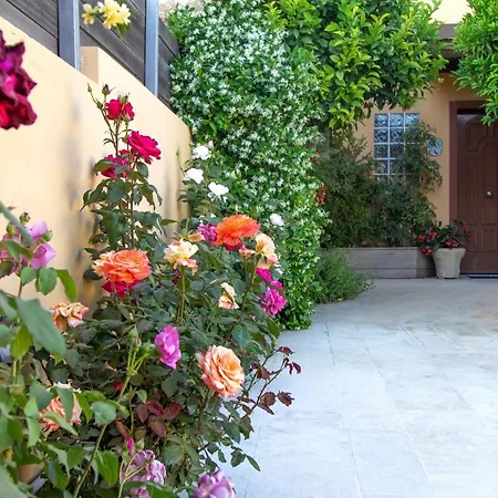 Lida Garden Loft Ανάβυσσος